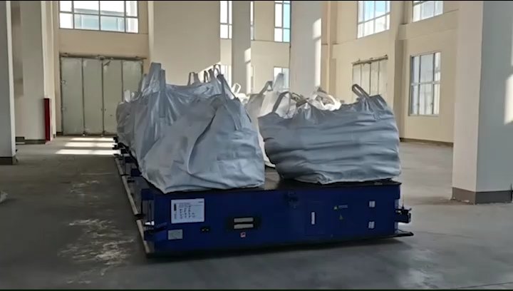 RoboCar AGV 50T